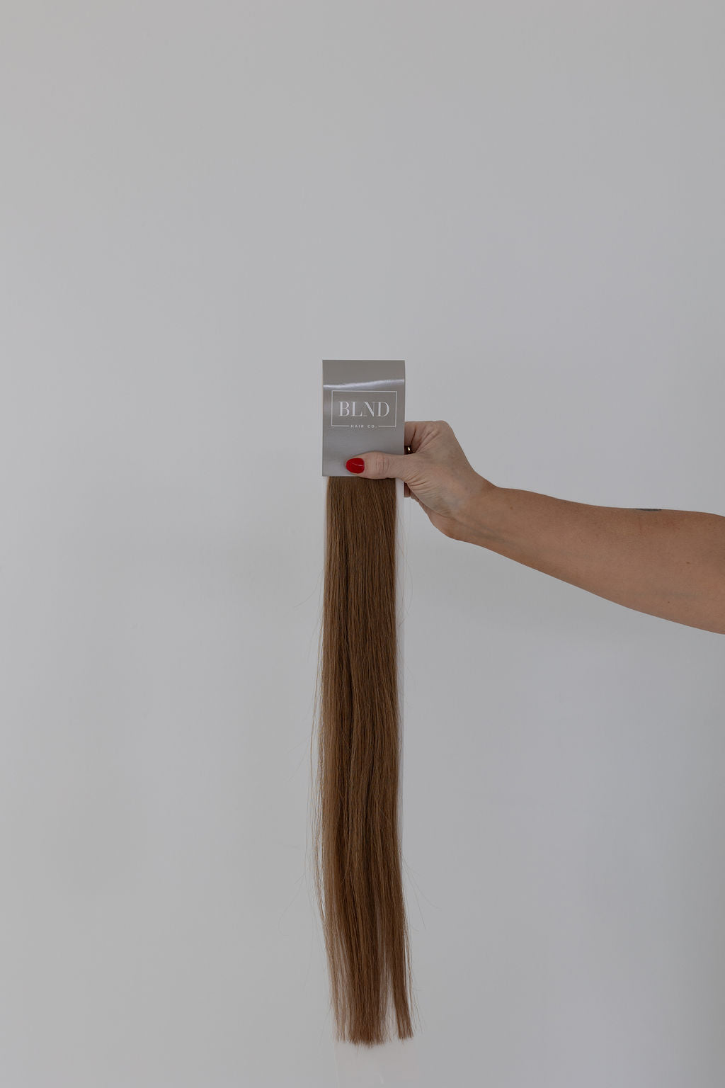 The Elizabeth | Weft